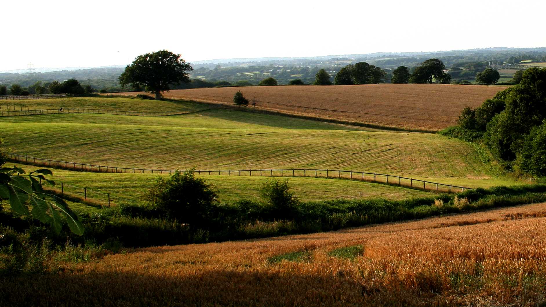 Areas of Outstanding Natural Beauty in Wealden