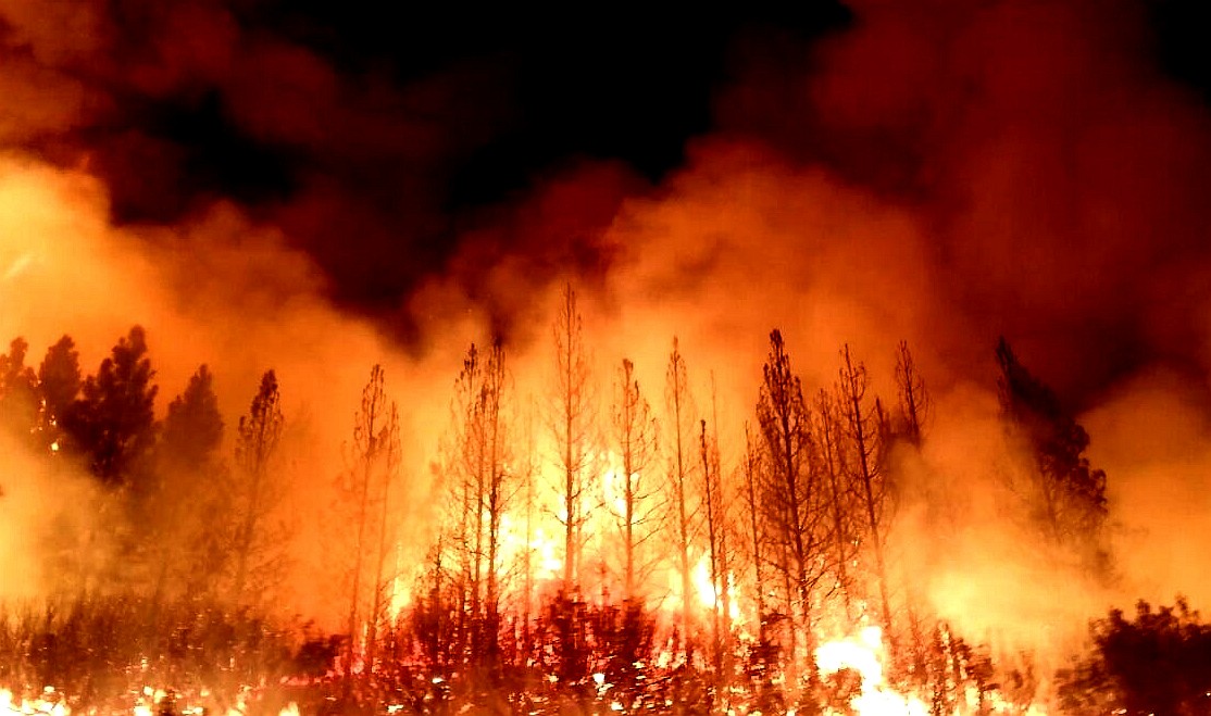 California forest fires 2013