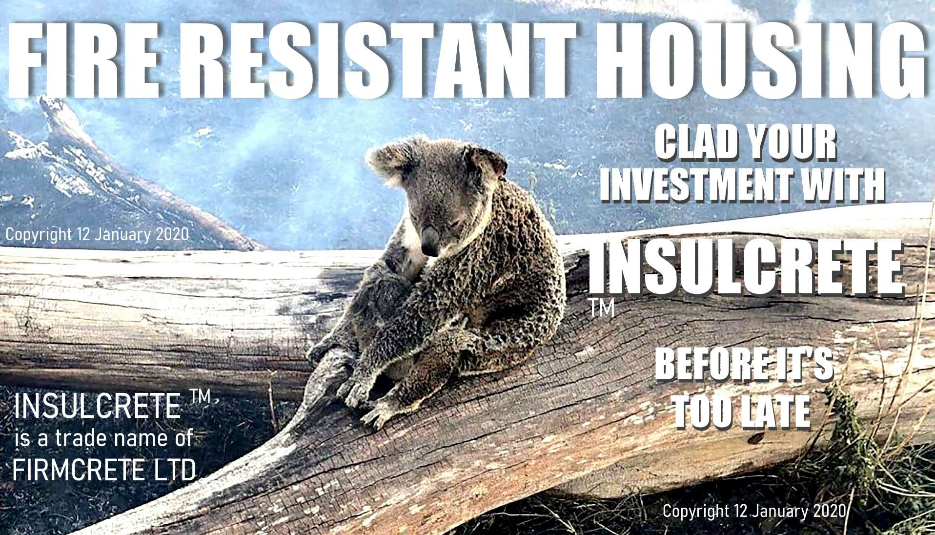 This koala bear cannot control its future, you can. Build fireproof houses in bushfire area