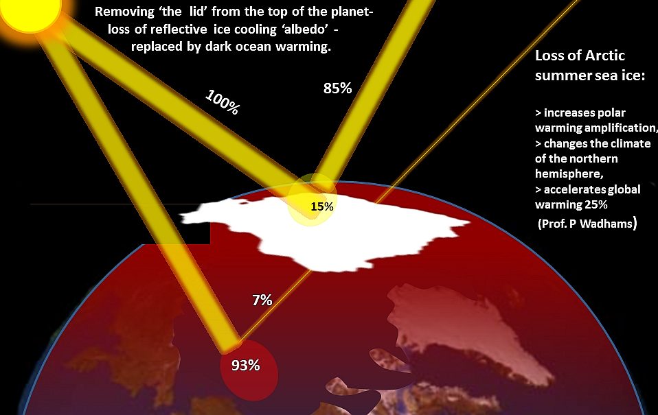 The Damaging Effects of Black Carbon – State of the Planet